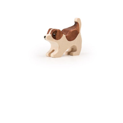 Trauffer St Bernard Playing Puppy
