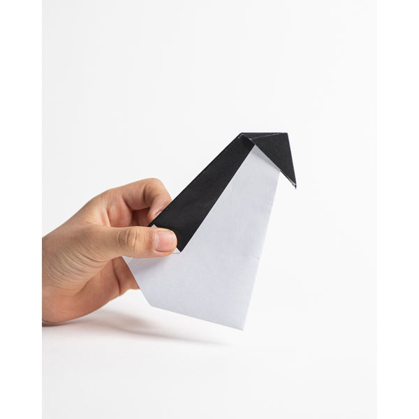 Eco-Kids Paper Magic Kit