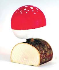 Mader Upside Down Mushroom Top on Log